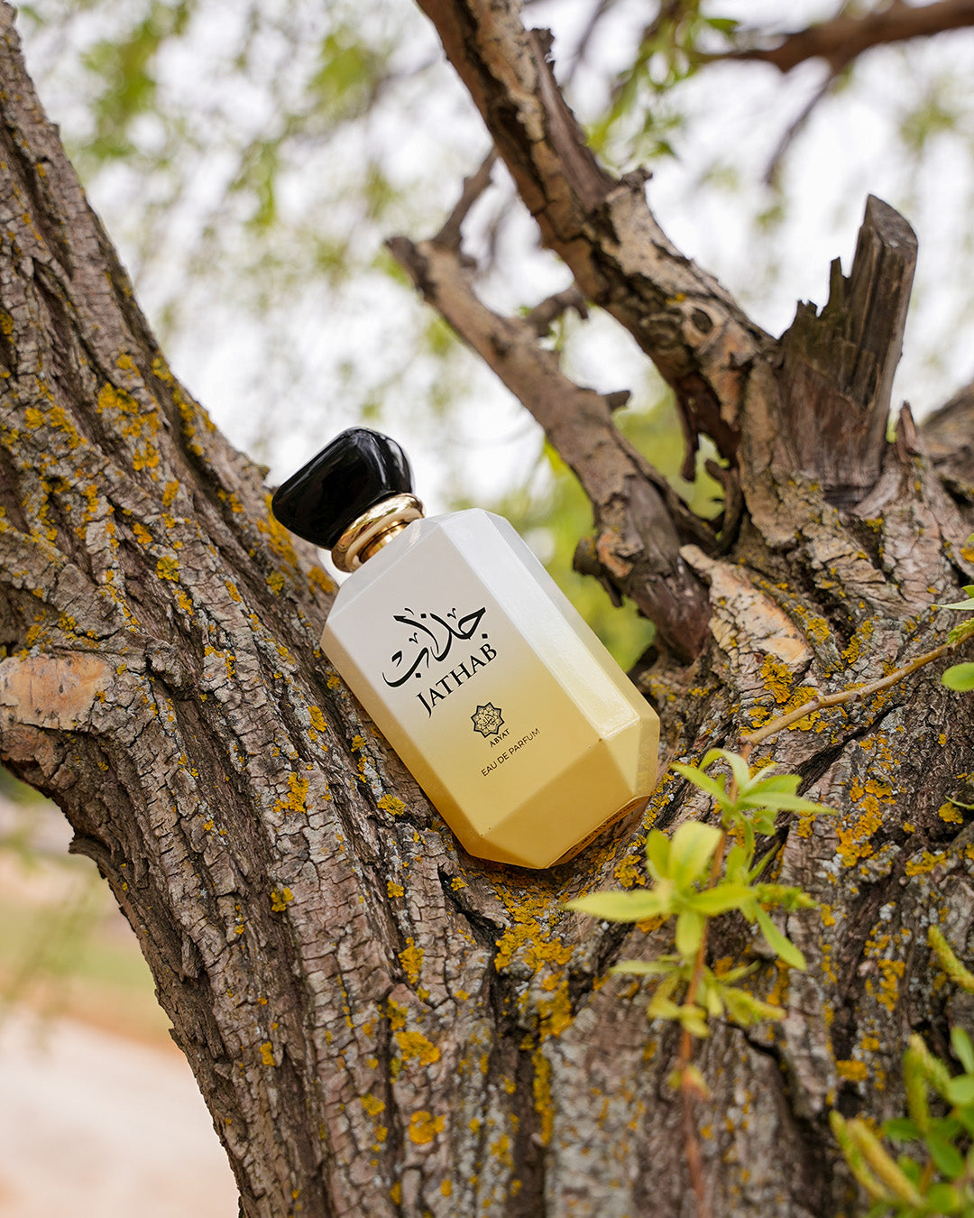 Jathab – Eau de Parfum 100 ml I For Him